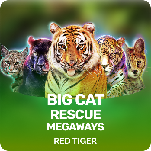 Big Cat Rescue Megaways