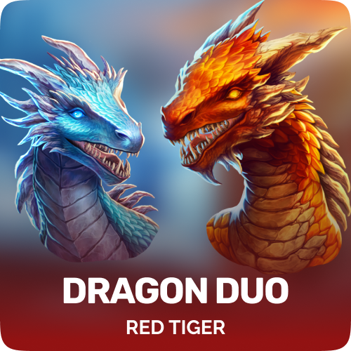 Dragon Duo