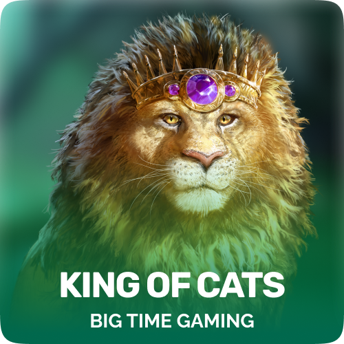 King of Cats